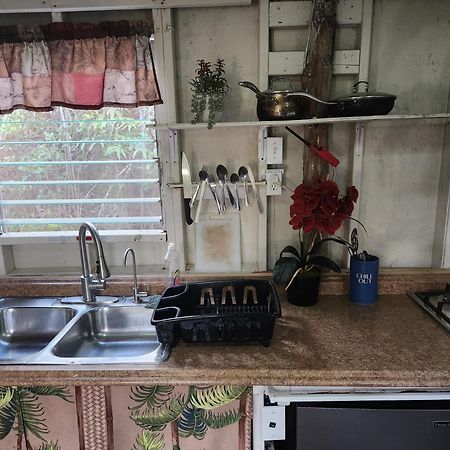 Cabin 2-Rustic Private Stay Near Volcano National Park Fern Forest ภายนอก รูปภาพ