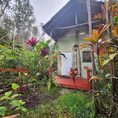 Cabin 2-Rustic Private Stay Near Volcano National Park Fern Forest ภายนอก รูปภาพ